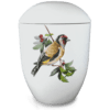 Seeurne_Stieglitz_NS-106.png