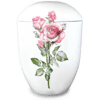 Seeurne_Rose_AP1230.png