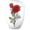 Seeurne_Rose_Rot_AP-97.png