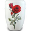 Rose,rot.jpg
