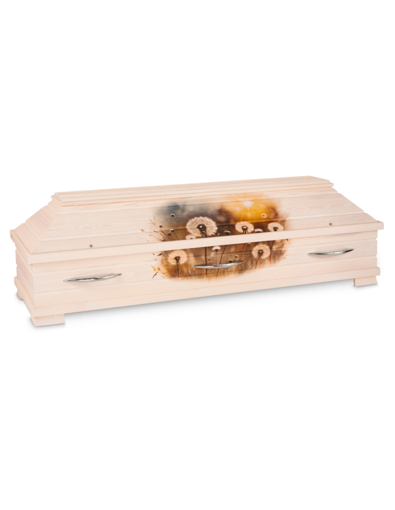 Sarg mit Pusteblumen Wiese