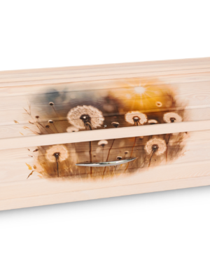 Sarg mit Pusteblumen