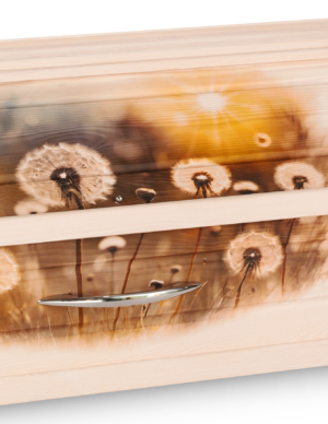 Sarg mit Pusteblumen-Motiv